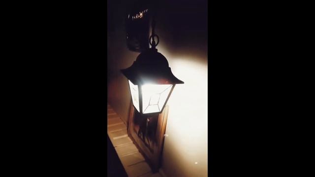 Последний киртан | 13/03/2021 | смотреть онлайн