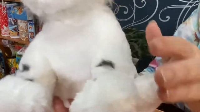 Лакки - сладкий новогодний подарок в мягкой упаковке-игрушке