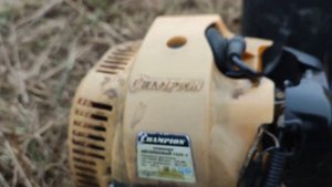 2023-10-26 Осенний покос подмерзшей травы триммером Champion T-523-2 (52 куб. см.).