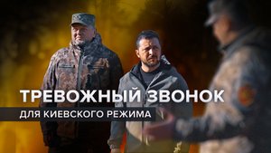 Авантюра в условиях отчаяния: почему Зеленский хочет избавиться от Залужного