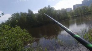 Рыбалка в Санкт-Петербурге. Пулковский парк