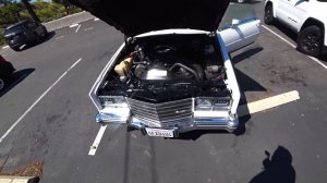 Как стать автомаляром в США? / Гарик был прав?