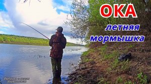 ЗАЛЕЗ НА ДЕРЕВО. ГРАД и ЖЕРЕХ. Рыбалка на ОКЕ на боковой кивок.