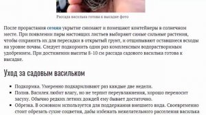 Василек садовый многолетний и однолетний Посадка семенами и уход Популярные сорта