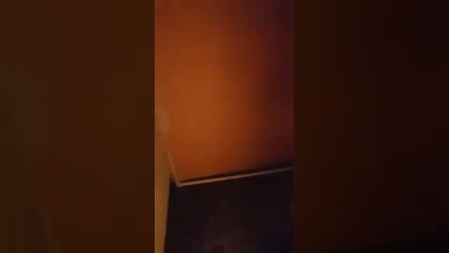 Студия в Москве 19.8 м2 Продается смотреть онлайн