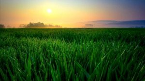 Хаджат-намаз: ценность, которую мы не замечаем