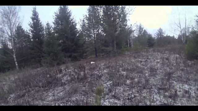 Охота на зайчиков смотреть онлайн