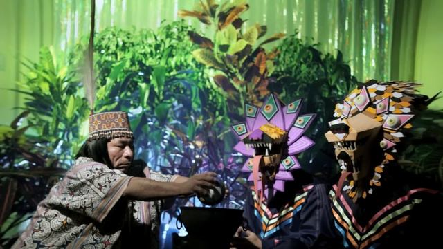 Dengue Dengue Dengue! - Simiolo