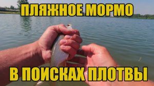 Пляжное мормо. В поисках плотвы