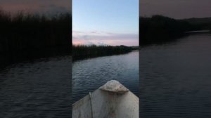 Водохранилище село Нижний Мамон