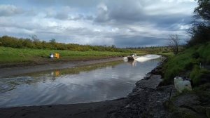 Лодка Аллюр-60 с вертикальным лифтом БобсМашин под мотором Сузуки-200.