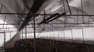 СНЕГОПАД И ТЕПЛИЦА.СИЛЬНЕЙШИЙ СНЕГ НА КУБАНИ.