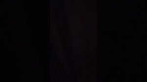 Обзор парк отеля Премьера ,, Тульская область".