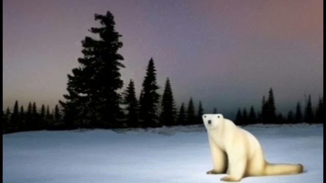 Медведь мем сайта Яплакал Yaplakal 1 часть Как сшить медведя мема Совместный пош
