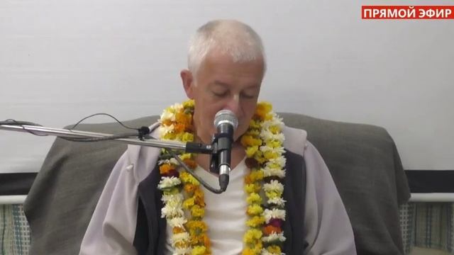 Прямая трансляция пользователя Александр Хакимов. Прямые трансляции