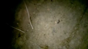 Ветрозащита утеплителя холодного чердака 2 часть