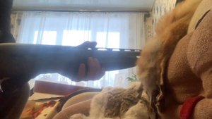 Беретта А400 новатор медведь!!! Безопасный спуск !!!