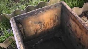 не могу найти матку в улье, а очень надо, как лучше поступить