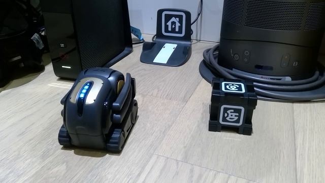 What Can Anki Vector Do Part 1