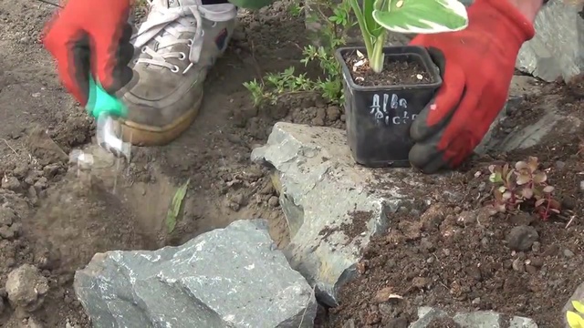 Альпийская горка своими руками