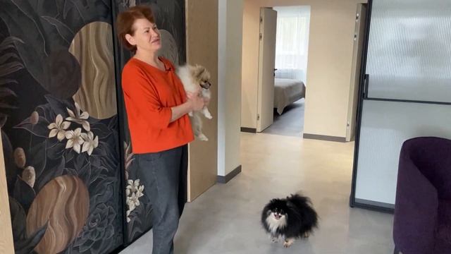 Aquafloor Stone | Квартира в японском стиле смотреть онлайн