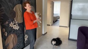 Aquafloor Stone | Квартира в японском стиле