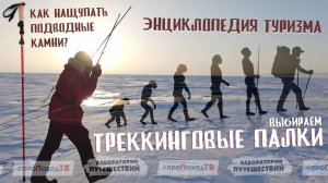 Треккинговые палки | Энциклопедия туризма