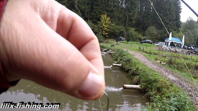 Форель на Цикаду и другие приманки
