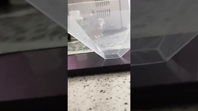 туториал как сделать 3D галограму