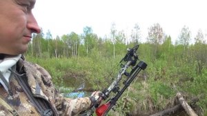 Охота на бобра из лука