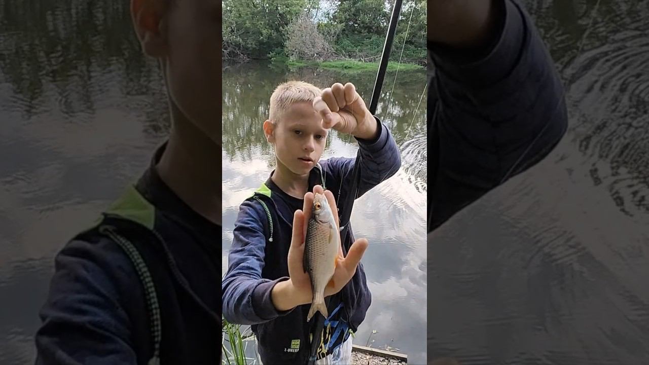 пшеница лучше мотыля. #viral #рыбалка #fishing #top #рыбаки #рыба #насадки #поплавок #удочка #рек