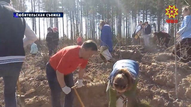 Ежегодная акция «Сохраним лес» проходит сейчас в республике. смотреть онлайн