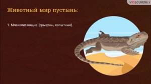 Видеоурок по биологии «Растительный и животный мир пустынь»