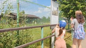 Ярославль/Ярославский зоопарк.