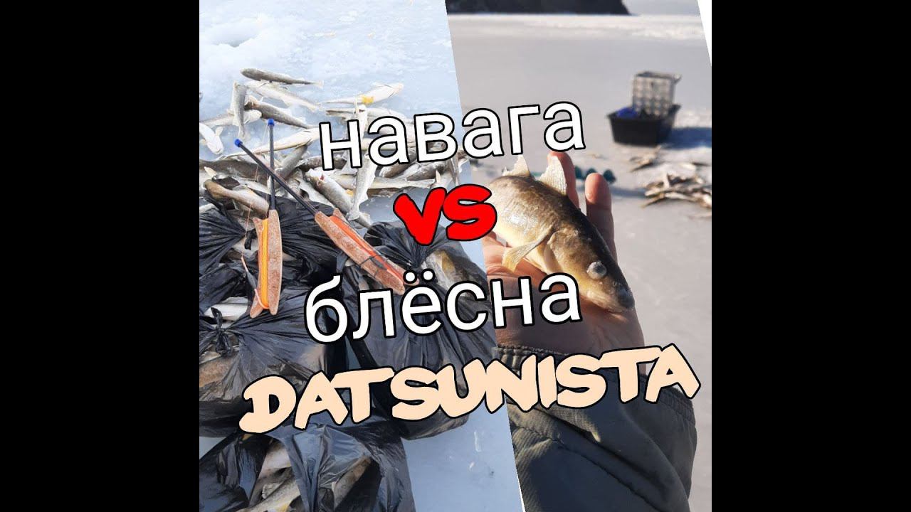 Ловля НАВАГИ на железо. Попали на клев.