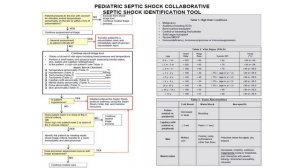 Advances in Sepsis: Protecting Patients Throughout the Lifespan