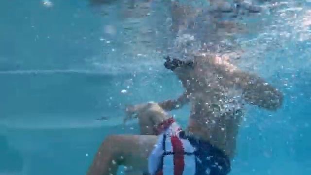 pool Challenge 44 смотреть онлайн