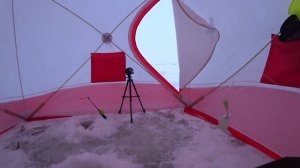 МАЯК ТОЛБУХИН, ЛОВЛЯ КОРЮШКИ