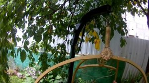 Качели кокон завершение.mp4