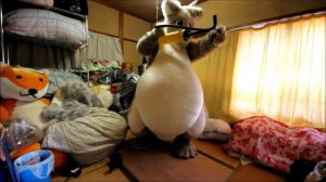 インフレーションシクラ　inflation sikura