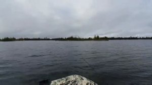 фрегат 350 аир и suzuki dt9.9as