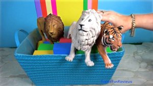 Big Cat Week - Zoo Animals Lion, Tiger, Hippo, Rhino, Zebra 13+