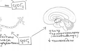Нестероидные противовоспалительные средства (НПВС).