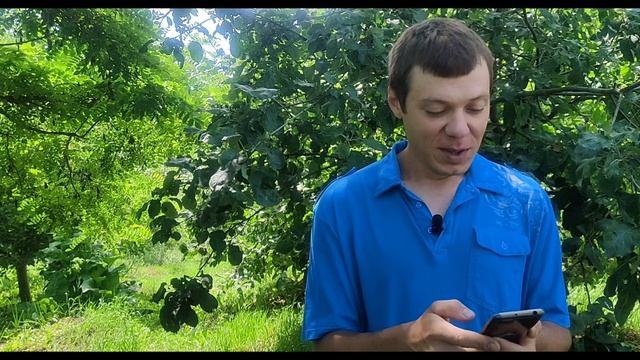 ОБМАН С ПОКУПКОЙ САЖЕНЦЕВ! Видеоотзыв о "Клубе садоводов профессионалов"