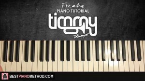 HOW TO PLAY - Timmy Trumpet - Freaks (Piano Tutorial Lesson EASY)