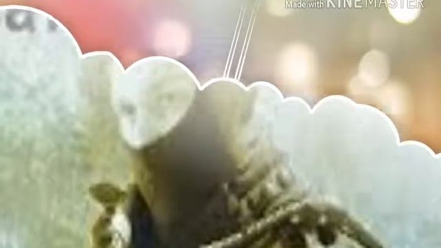 ОБЗОР КАРТИНОК ИГР //||КРИЗИС КС ГО МАЙНКРАФТ||\\КОТОРЫЕ Я БУДУ СНИМАТЬ НА СВОЁМ КАНАЛЕ смотреть онлайн