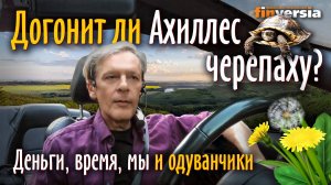 Догонит ли Ахиллес черепаху Деньги, время, мы и одуванчики  Ян Арт. Finversia