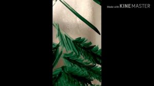 Как нарисовать ёлочку на окне)))