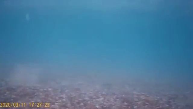 Красивый закат ,как его видят рыбы ? смотреть онлайн