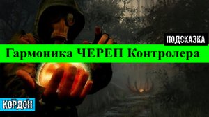 Золотой шар завершение OGSR зачем нужна гармоника губная гармошка череп контролера